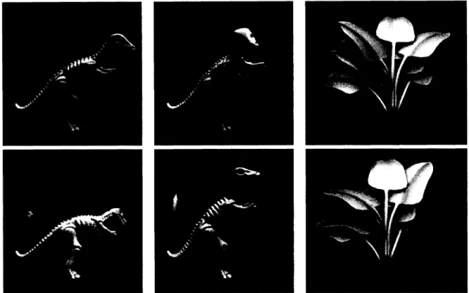 Figure 11: Interactive dynamic behaviors resulting from applied impulses