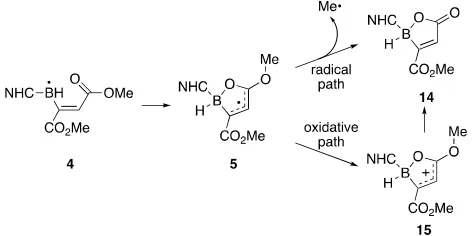 Figure 7. Possible radical and oxidative paths to boralactone 14