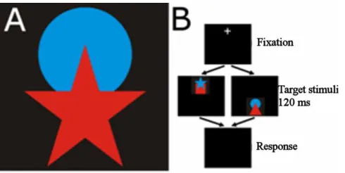 Figure 4. Task for testing multiple object recognition in the fovea vs. periphery 
