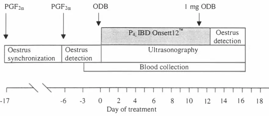 Figure 2.1 Diagram depicting the sequence of experimental procedures. 