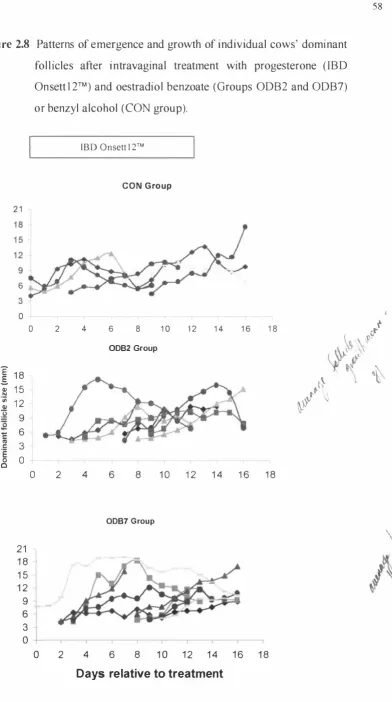 Figure 2.8 Patterns of emergence and growth of individual cows' dominant 