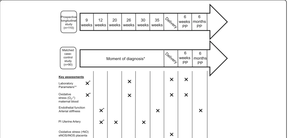 Fig. 1 Study design and key assessments. Study design and data collection overview. PI = pulsatility index; PP = postpartum; * Assessments atmoment of diagnosis; ** Laboratory parameters tested include NLR, MPV (mean platelet volume), platelet count, Fe, transferrin and ferritin