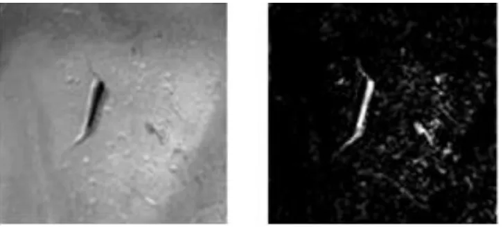 Figure 2.1 : Original image and contrast image of crack defect 