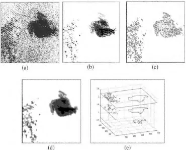 Figure 2.2 : Surface defect classification process (a) Detect image with non-