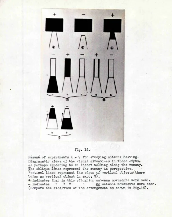 Fig. 18.