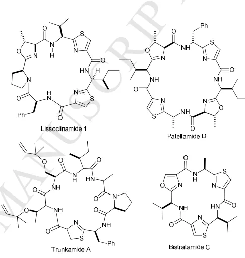 Figure 1: Structures of some modified cyclic peptides in the cyanobactin family showing heterocycles, epimerized stereocentres and prenylated 