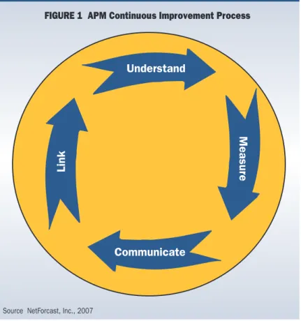 FIGURE 1  APM Continuous Improvement Process