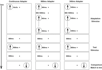 Figure 1. Timeline for Experiment 1. Arrows indicate stimulus motion direction. In the continuous condition, adapter stimuli werepresented continuously for the required duration