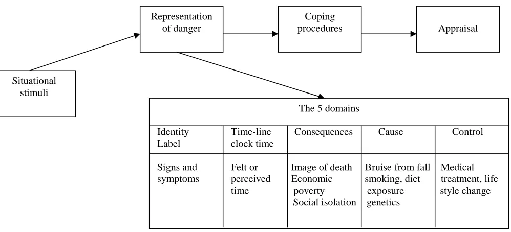 Figure 2.2: Five Substantive Domains of Illness Representation. (Brownlee et al 2000)