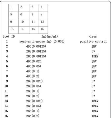 Figure 2 Evaluation of different spotting buffers and antibodyvisualization by using PBS + 20% glycerol+0.004%Triton-X100 buffer;cintensity comparisons of different solutions and spottingvisualization by using 20% glycerol-PBS buffer;concentrations in ELIS