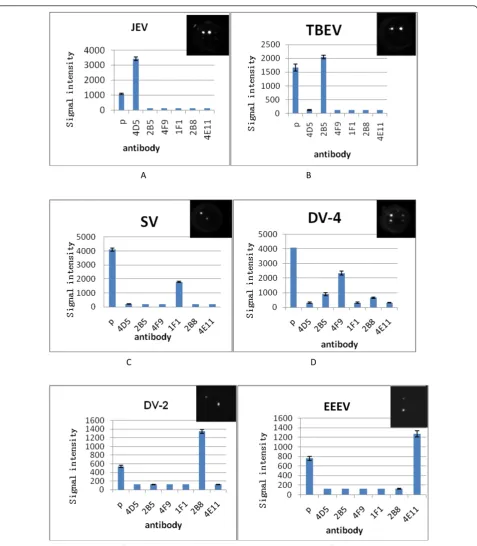 Figure 4 The ELISA array detection results for single encephalitis virus(TBEV);. a:Japanese encephalitis virus(JEV); b:Tick born encephalitis virus c:Sindbis virus(SV); d:Dengue-4 virus(DV-4);E:Dengue-2 virus(DV-2);F:Eastern equine encephalitis virus(EEEV).