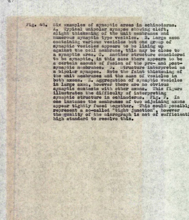 fig. 48#