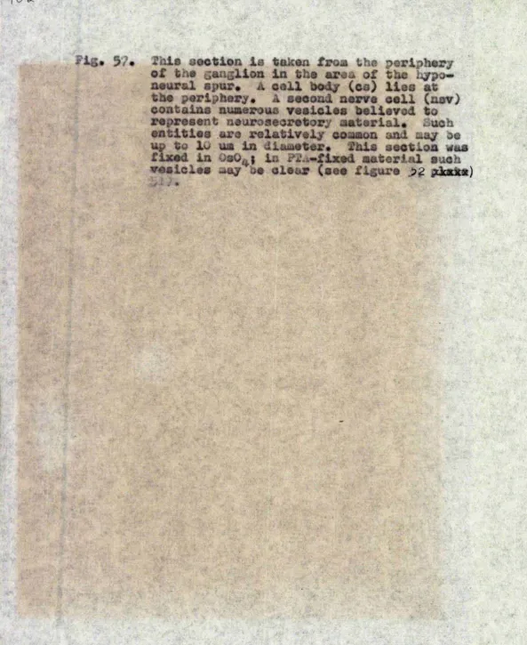 Fig. 5 ;.