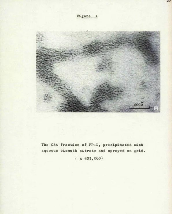 Figure 1.  r' If#
