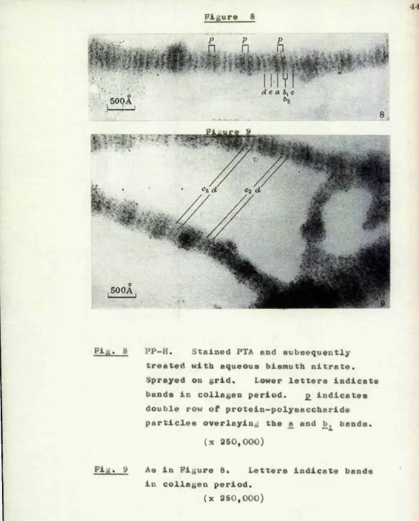 Figure 8de a h^c