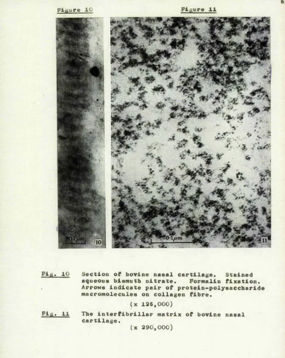 piKureFigure 11