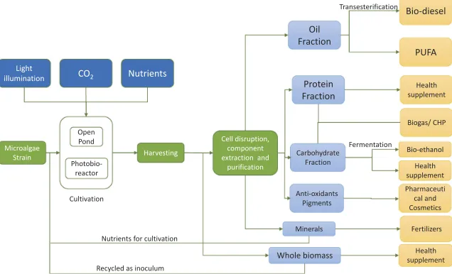 Figure 2. Microalgae bio-refinery model.