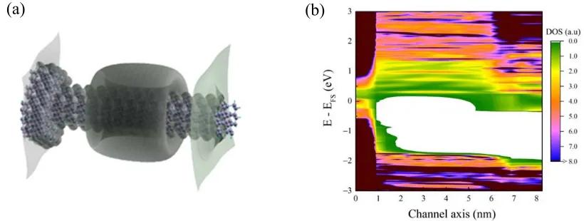 FIG. 2.  (a) Atomic scale illustration of the proposed SM-TFET structure. All surface dangling bonds are passivated by bonding to hydrogen