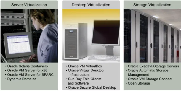 Figure 2. Oracle provides the industry’s most complete virtualization portfolio 