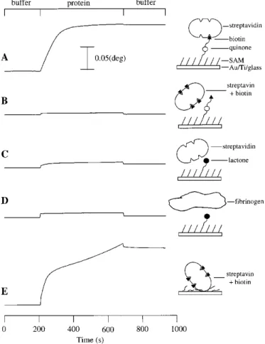 Figure 1. Design of a self-assembled monolayer (SAM) that selectively releases the ligand biotin upon application of a reductive potential