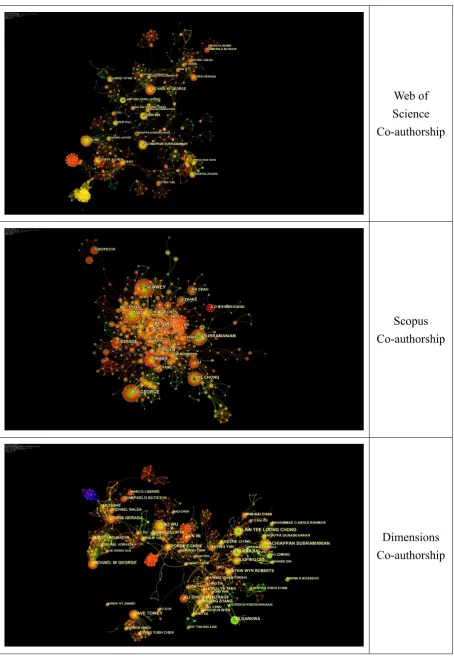 Figure 8 Co-author Analysis Visualisation 