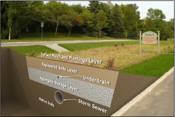 Figure 4: Image of a Typical Section through a Biofiltration Swale 
