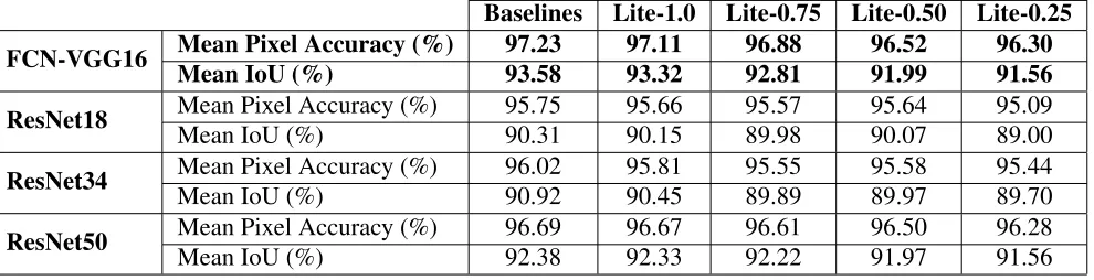 Table 2: Pixel Accuracies and Mean IoU for both Baselines and "Lite" CNN models basedon the Oxford Flower Dataset