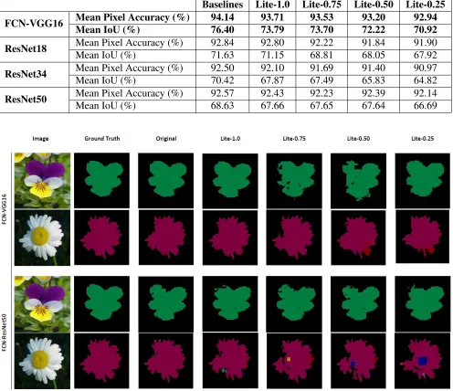 Table 3: Pixel Accuracies and Mean IoU for both baseline and "Lite" CNN models basedon the Oxford Flower Dataset