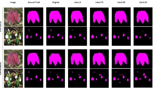 Figure 4: Two class (Background and Flower) segmentation: Sample test instances from theOxford ﬂower dataset with some segmentation errors.