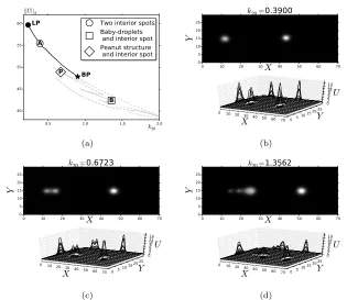 Figure 5.and one spot steady-state, from label P in (a). (d) A two-spot with baby droplets steady-state solution,from label B in (a)