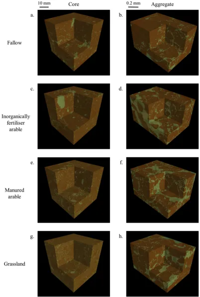 Fig. 3. 3D representation of sandy soils under discales, displayed as thresholded images denoting pore (green) or solid (brown) phases