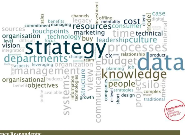 Figure 9: What is the main problem which prevents an integrated customer  experience? 