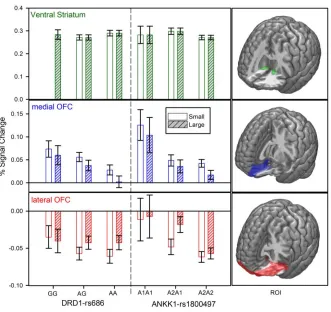 Figure 2. Gene-dose effects. DRD1 (left panel) and ANKK1 (right panel) gene-dose effects on small (clear columns) and large (dashed columns) reward anticipation cues for ventral striatum (top panel, green bars), medial OFC (middle panel, blue bars), and la