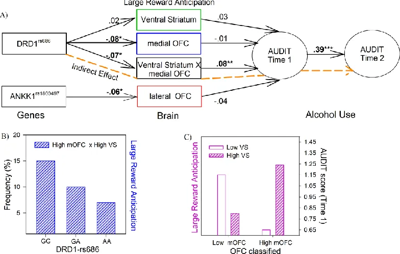 Figure 3. Results of the SEM A) Significant direct and indirect paths between gene, brain and alcohol misuse