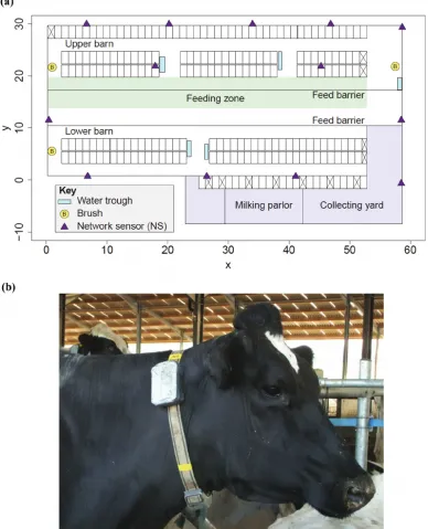 Figure 1. (a) Schematic map of the freestall barn used within the study. The main trial was undertaken in the upper barn area using the high-yield group