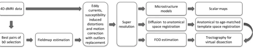Fig. 2. (i.e., the least affected by within-volume motion) pairs of b0 volumes for each phaseartefacts, susceptibility-induced and eddy current distortions