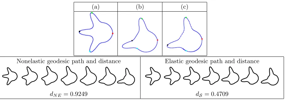Figure 3:Comparison of two simulated tumor shapes.Curve with two protruding peaks before re-parameterization (uniform spacing of points)