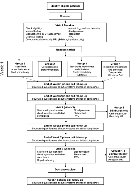 Figure 2: Flow chart of study procedures  
