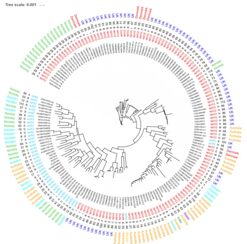 FIGURE 3 | Core genome MLST of D. nodosus. Phylogeny inferred using maximum-likelihood, implemented in FastTree (Price et al., 2010)