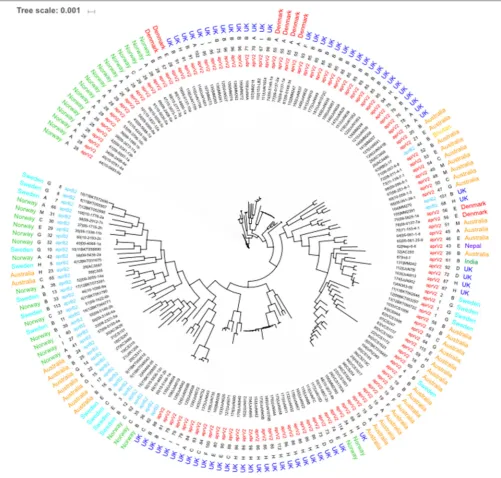 FIGURE 4 | Whole genome MLST of D. nodosus. Phylogeny inferred using maximum-likelihood, implemented in FastTree (Price et al., 2010)