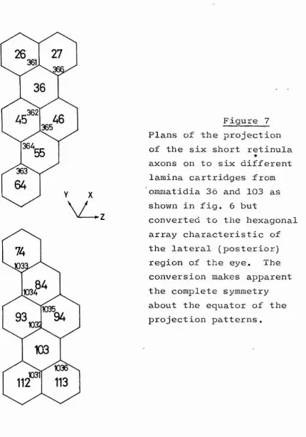 Plans Figure 7of the projection