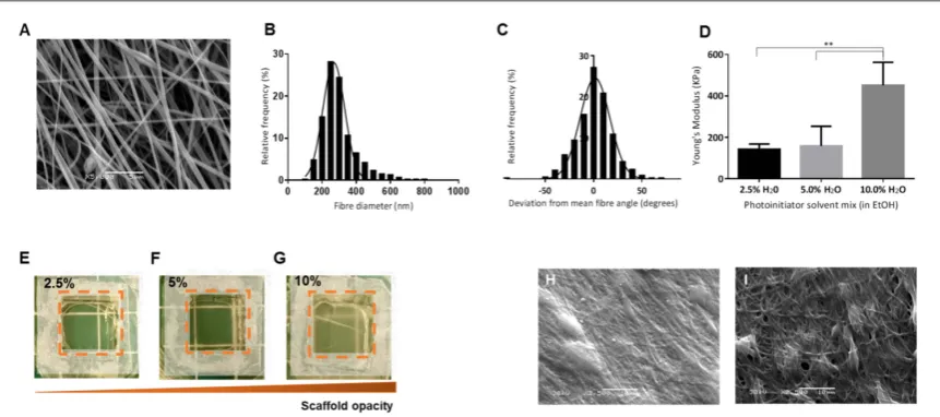 Figure 5. Properties of electrospun GelMA scaffolds.crosslinked in different HHbefore cross-linking.(multiple comparisons test was carried out between the Youngphotographs of scaffolds crosslinked in 2.5%, 5.0% and 10.0%( (A) SEM image of aligned electrosp