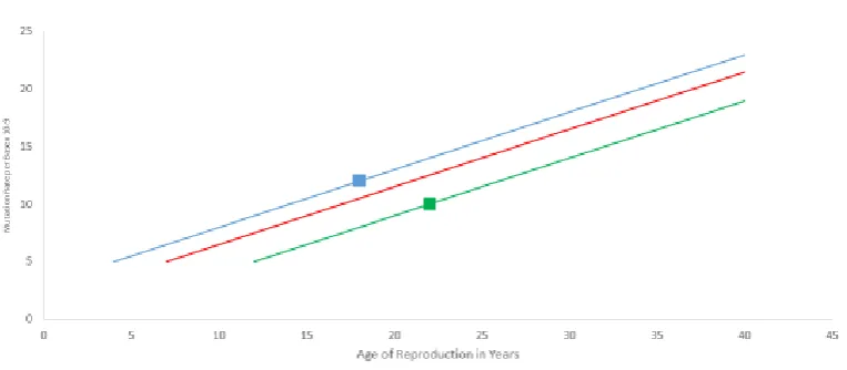 Figure 1: A stylised illustration of the model of mutation rates from Thomas et al. [1]