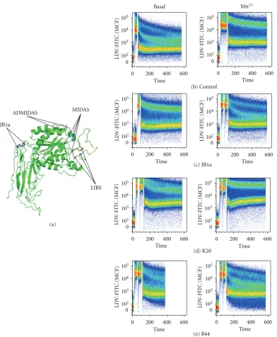Figure 5: (a) The location of JB1a epitope as mapped by Ni and Wilkins [activation detected by FRET using the LDV-FITC small molecule and R18 in Jurkat cells