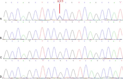 Figure 1. Partial sequences of exon 3 in PAX8 from proband, his parents and a normal control are shown