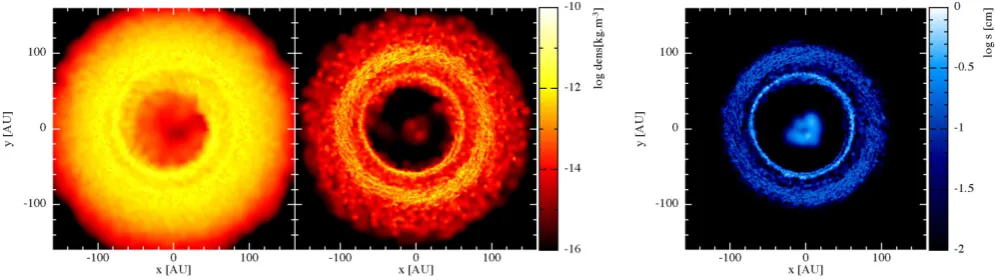 Fig. 1& Mellemawell as the grain sizesimulation. The planet at 40 au has opened a gap in the gas phaseand much of the disc interior to the gap has been accreted on tothe star, leaving a central low-density area