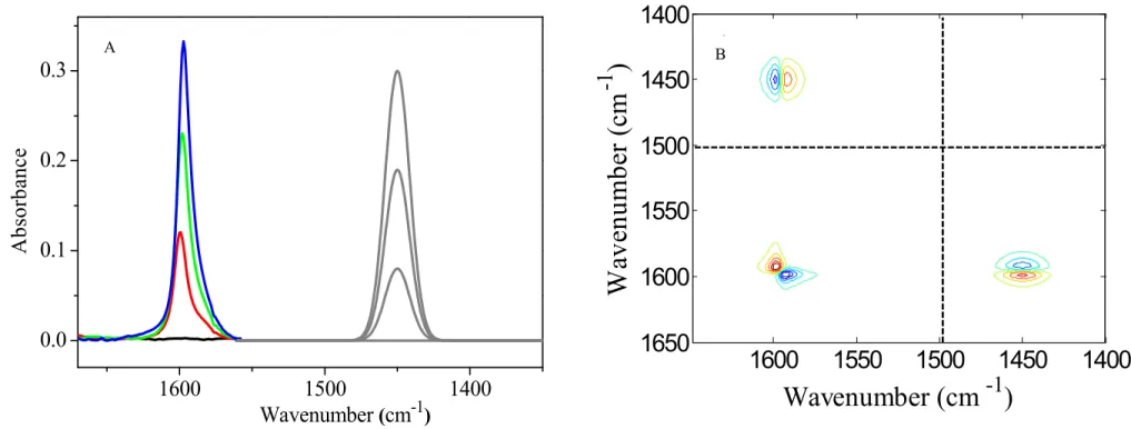 Figure  2  (a)  FT-IR  spectra  of  the  benzo-15-crown-5  of  the  solutions;  (b)  2D  asynchronous  correlation  spectrum  generated  by 