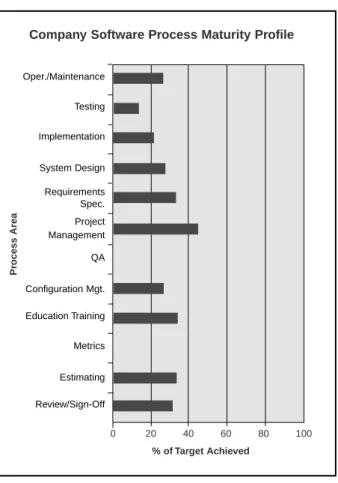 Fig. 4.1. Company process maturity chart