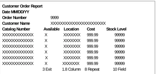 Fig. 2.6.2 : Layout screen for the design of a display for a customer order report. 