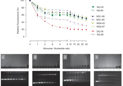 Figure 1. siRNA complexation by piperazine substituted chitosans. (A) EtBr displacement assays of piperazine substituted chitosans with siRNA